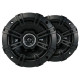 DS Series 5.25" Coax (43DSC504) **Not For Export**