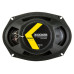 DS Series 6x9" 3-Way (43DSC69304)